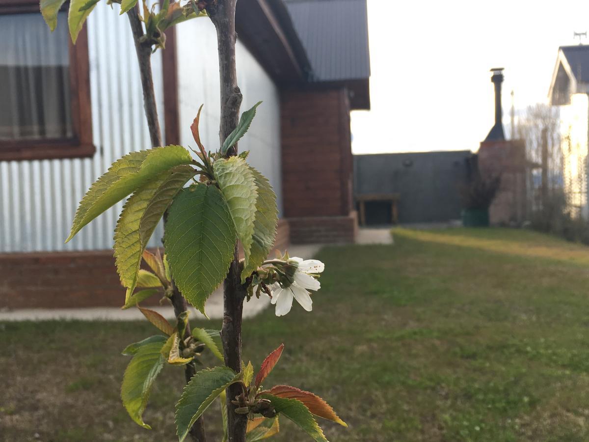 Casa Patagonica Los Frutales El Calafate Exterior photo